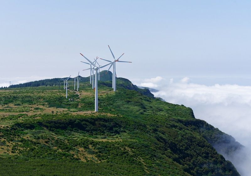 風(fēng)力發(fā)電機(jī)的葉片有多長？